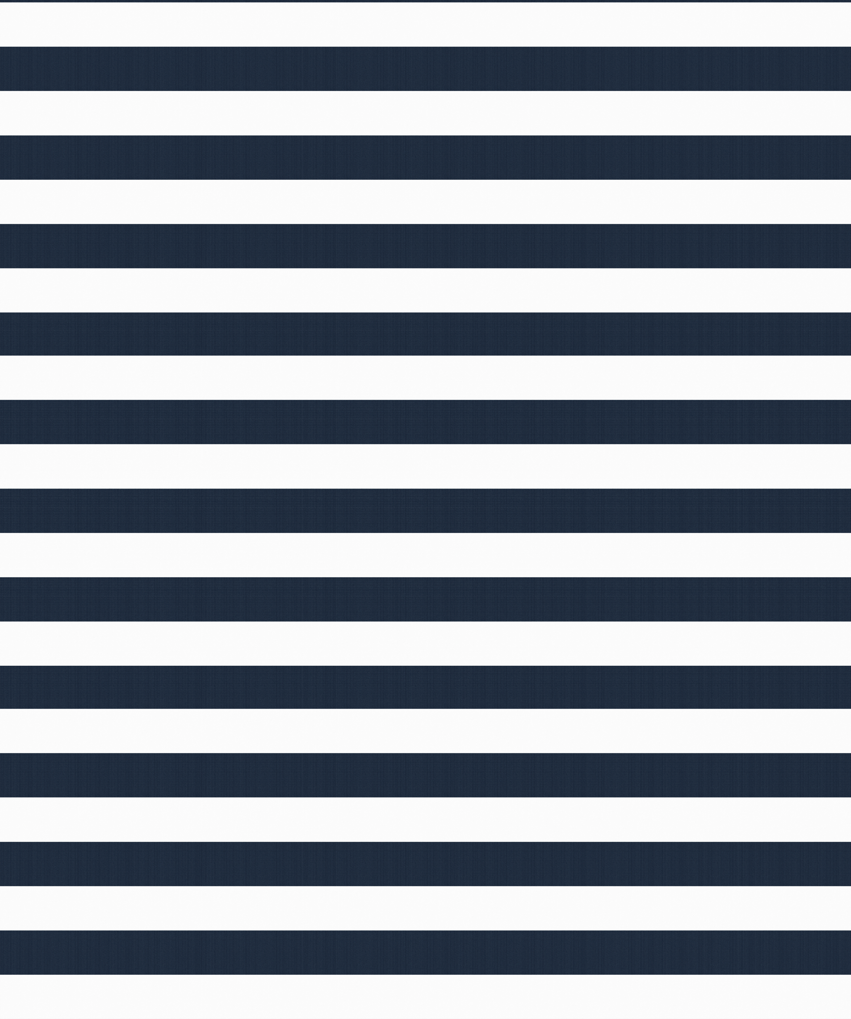 Navy & White